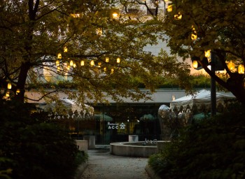 garden lights garden lights